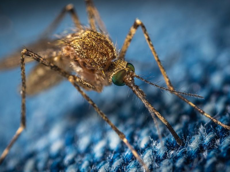 Second round of spraying for West Nile virus set