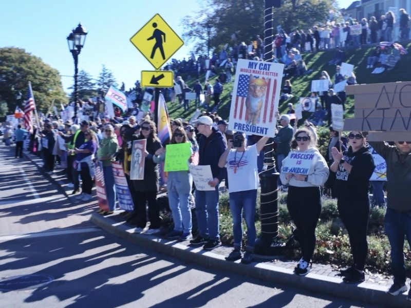 As many as 3,000 people attend ‘No Kings’ event