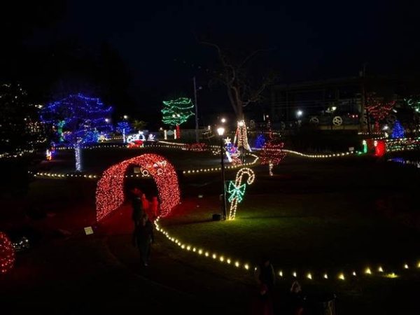 One last look at Light the Night