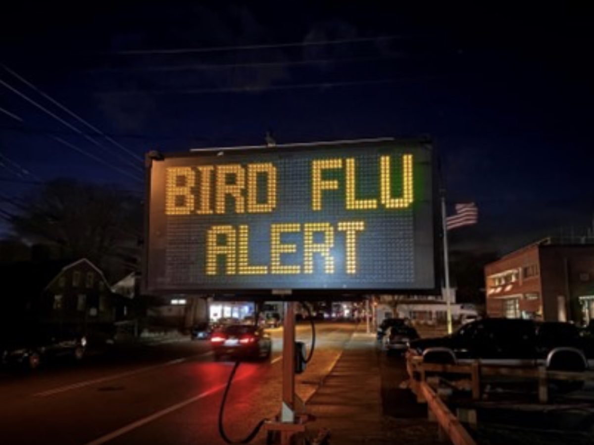 Reports of dead birds prompt avian flu warning