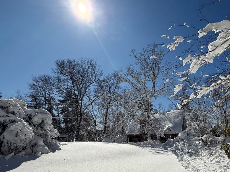 The editor’s humble apology