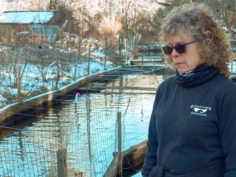 Select Board rejects advisory committee on wastewater plan