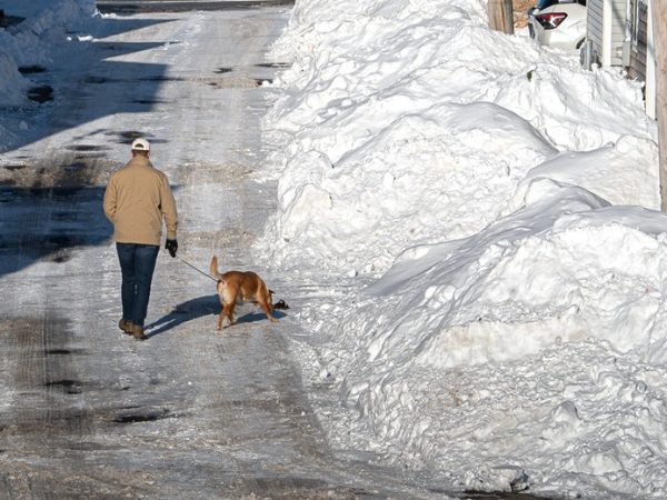 More snow, another parking ban