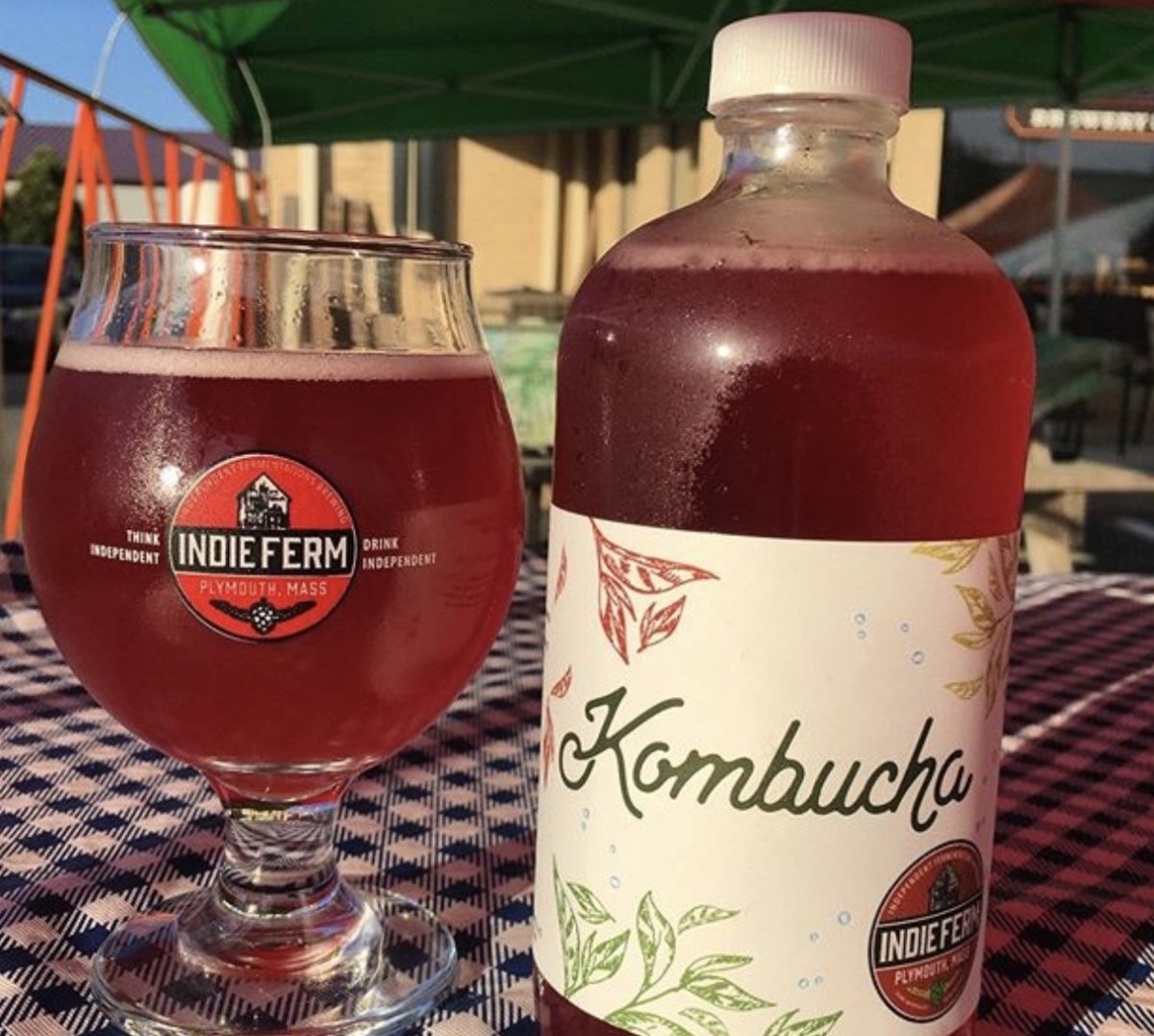 IndieFerm to offer fermented brewing classes