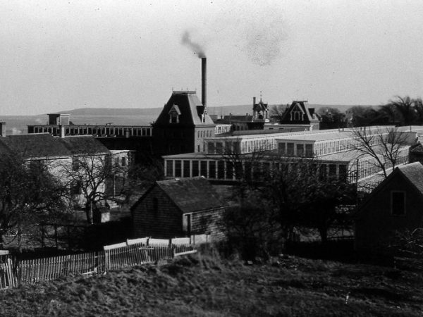 Waterfront’s evolving architecture is drastic