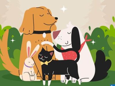 YOUR VIEW: Supporting the PETS Act