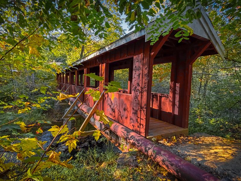 Fall colors take the spotlight