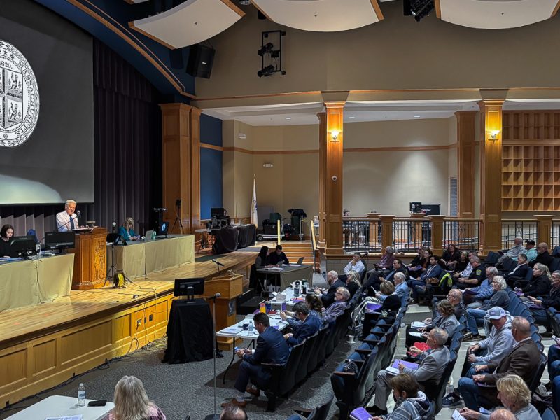 Derailed citizens’ petitions prompt tense debate