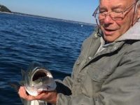 David R. Patrico, 83, Vietnam veteran