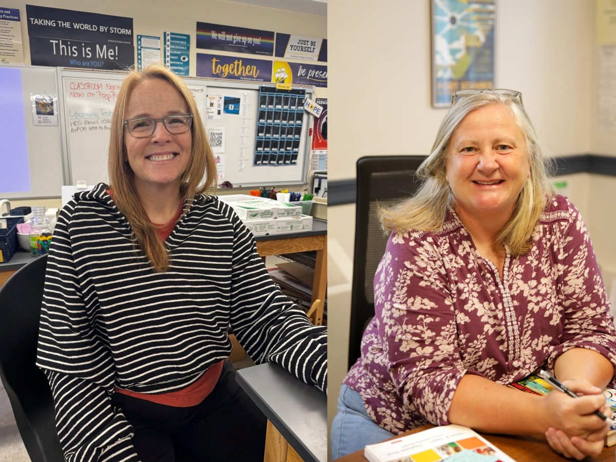Two Plymouth educators earn accolades