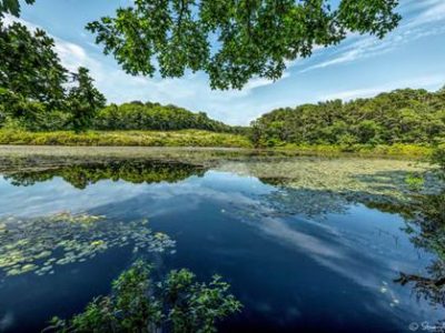 YOUR VIEW: ‘Preserve Massachusetts’ natural beauty’